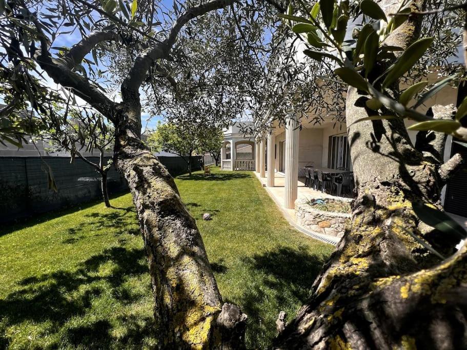 Saint-Laurent D'Aigouze : Appartement Avec Jardin المظهر الخارجي الصورة